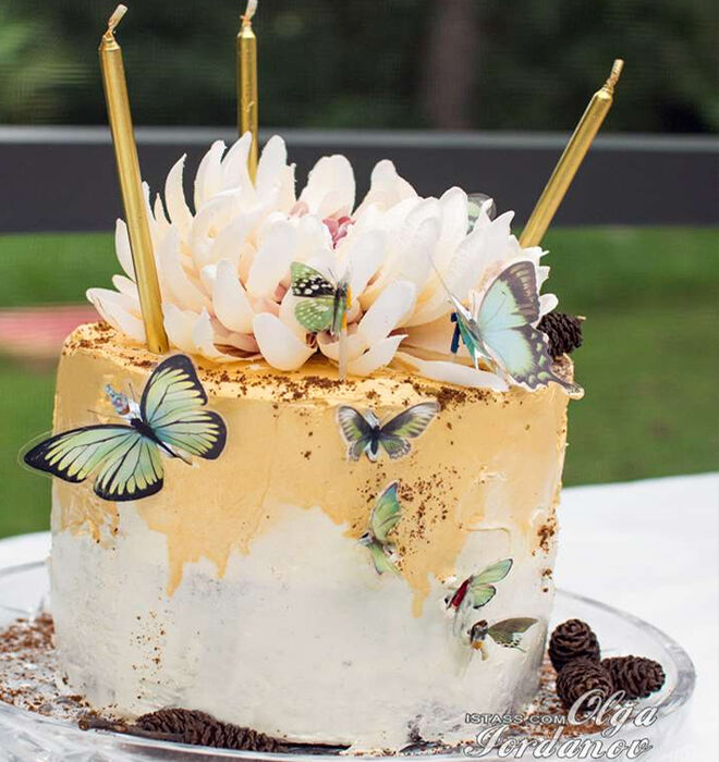 Fairy-Butterfly-Birthday-Cake