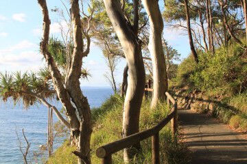 Noosa national park walk pram