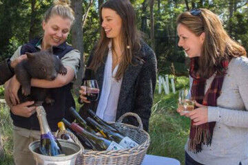 Wine and wildlife fi