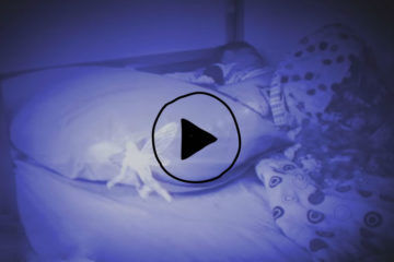 Tooth Fairy spotted on youtube