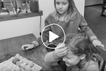 Hilarious Egg Gender Reveal