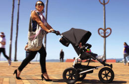 Mountain Buggy Urban Jungle Stroller