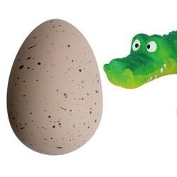 Hatching egg available from Happy Little Hippos