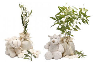 Give a tree as a newborn present
