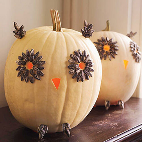 Halloween crafts: pumpkin owl