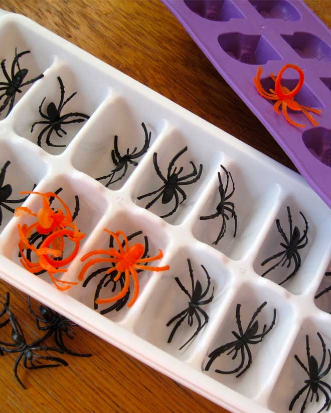 Halloween craft: spider ice cubes