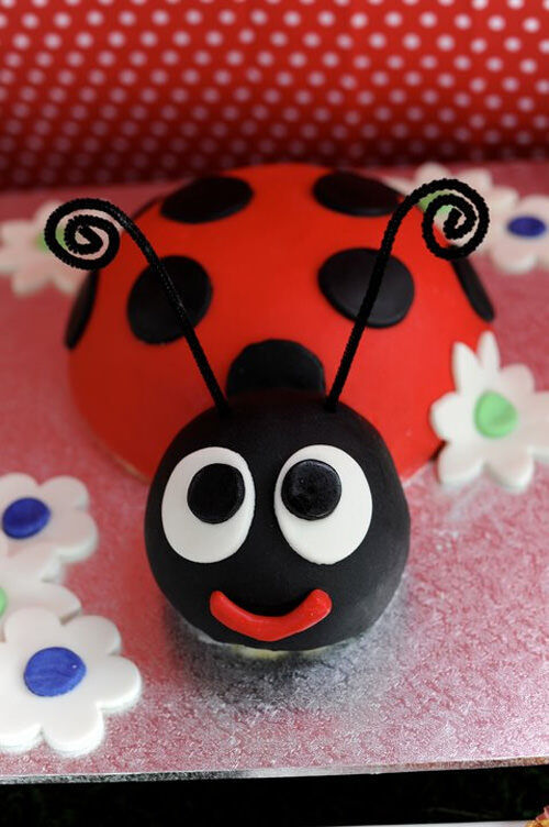 Ladybug cake by Jodie Burt Gerretze