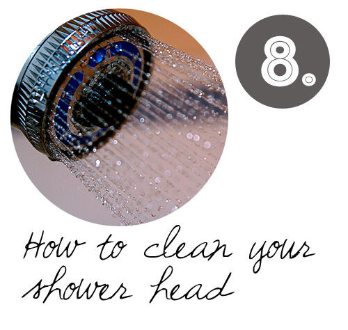 DIY cleaning tips: how to clean your shower head