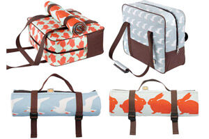 cool bag and picnic rug