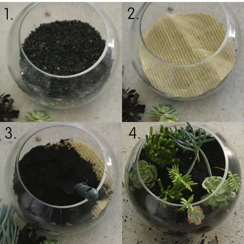 Terrarium tutorial