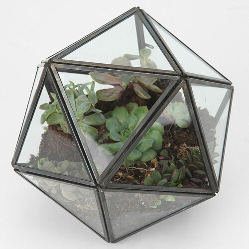 Urban Outfitters terrarium