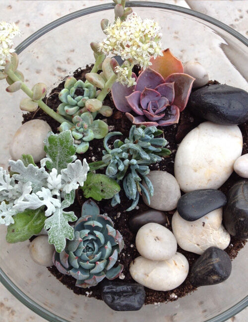 Open air terrarium