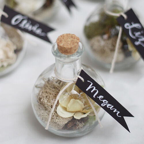 Tiny terrarium wedding favours