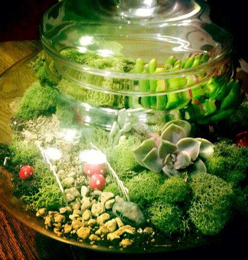 Fairy garden terrarium 