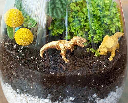 Dinosaur Terrarium