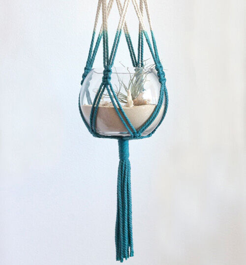 Macrame hanging terrarium