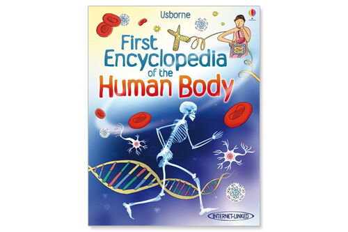 First Encycolaedia of the Human Body