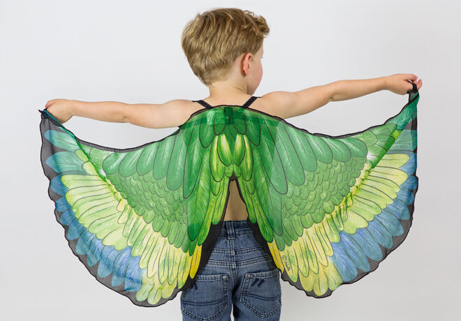 Dress Up Butterfly Fairy Dragon And Batman Wings