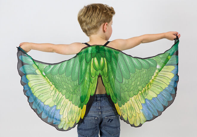 boy-green-wings