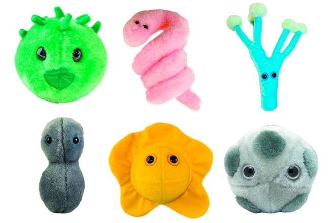 Giant Microbes