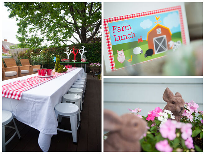 Farmyard Party Theme - Set Up