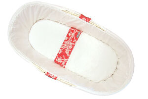 Bebelicious Moses Basket