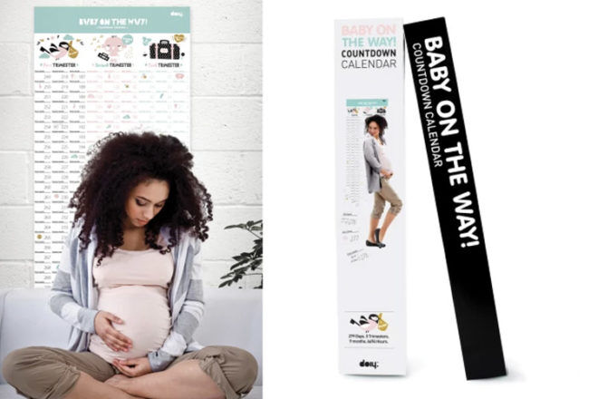 DOIY Baby on the Way pregnancy calendars