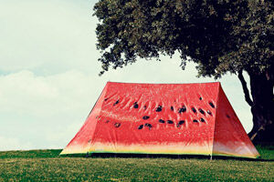 Field Candy Tents