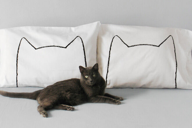 Cat pillowcase