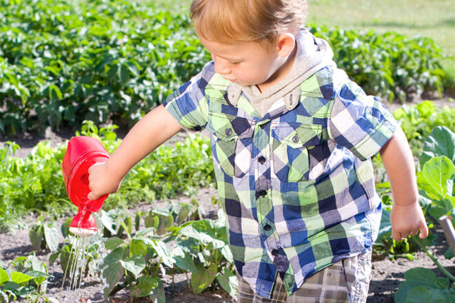 kid friendly garden ideas