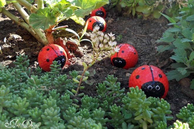 Lady Bug Golf Balls