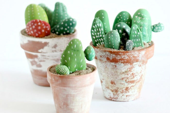 Cacti Rocks 