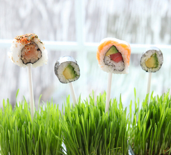 Simple sushi on a stick