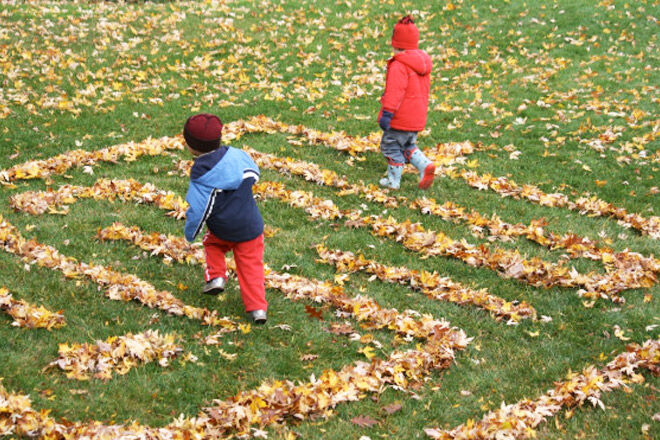 Autumn Leaf Maze