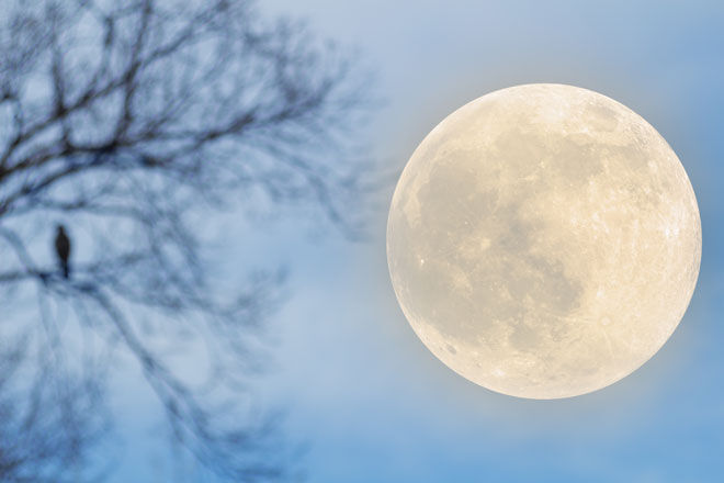 Pregnancy myths full moon