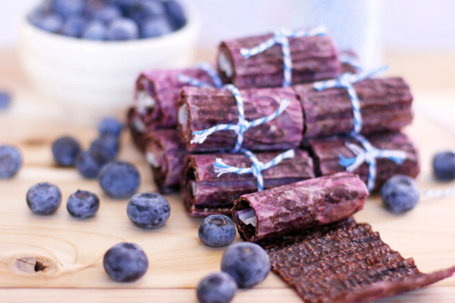 Blueberry chia fruit roll-ups