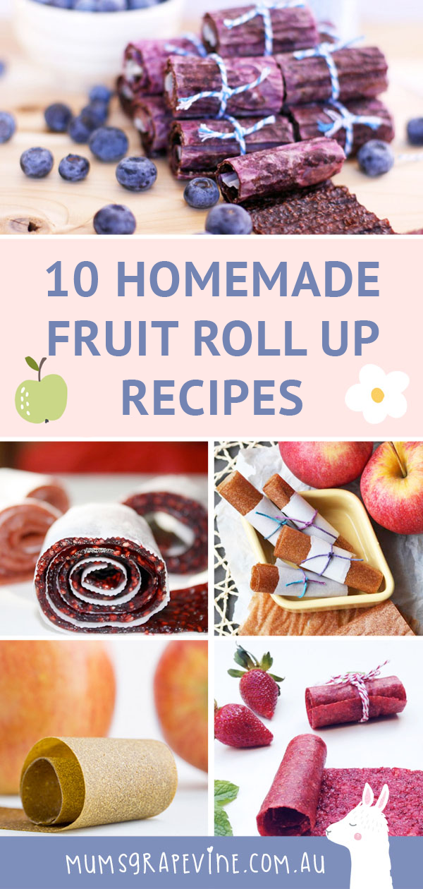 10 homemade fruit roll up recipes