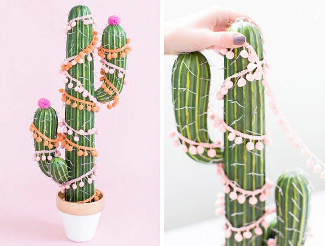Add a little fun to Christmas with a Christmas tree cactus!