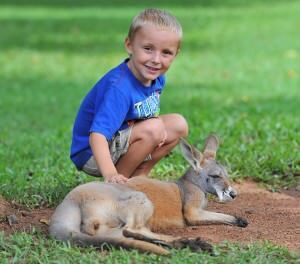 Australia Zoo: A big adventure for little kids | Mum's Grapevine