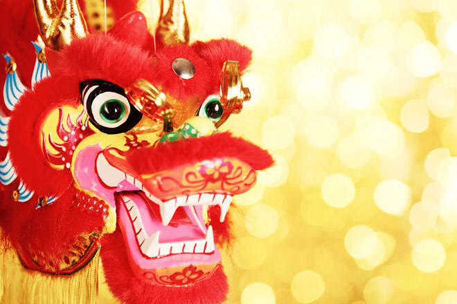 Chinese New Year 2016 Adelaide Dragon