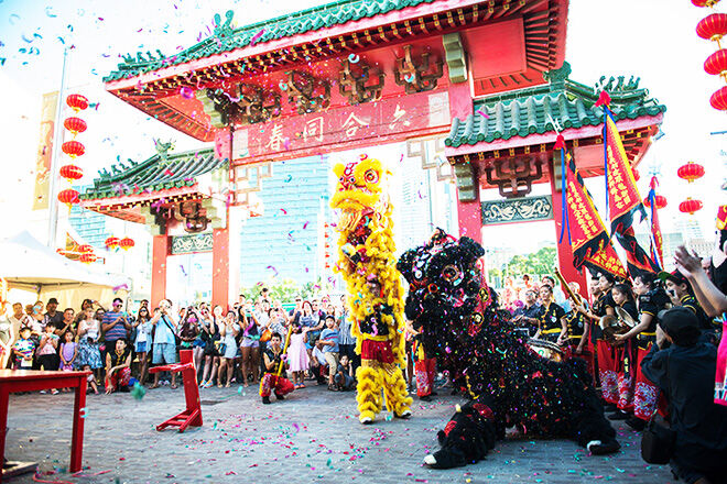 Lion Dance Chinese New Year