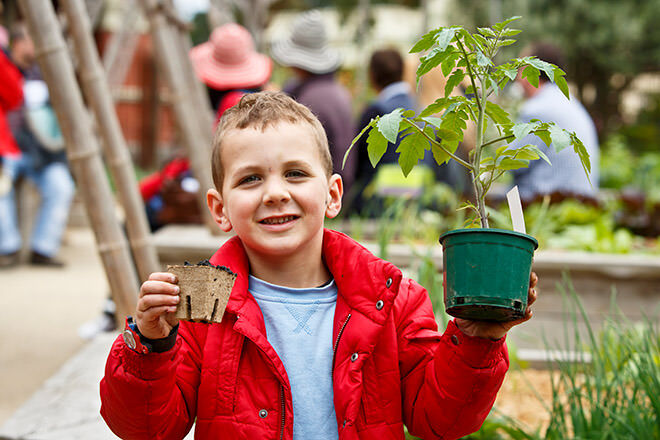 Ian Potter Garden