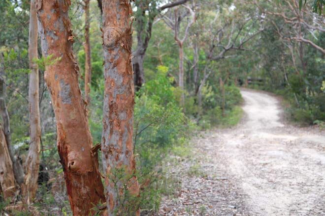Bungoona-Walking-Track in NSW is suitable for taking a pram or wheelchair