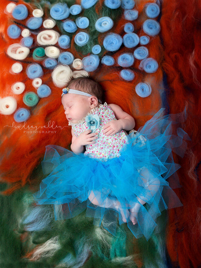Lindsay Walden newborn photography