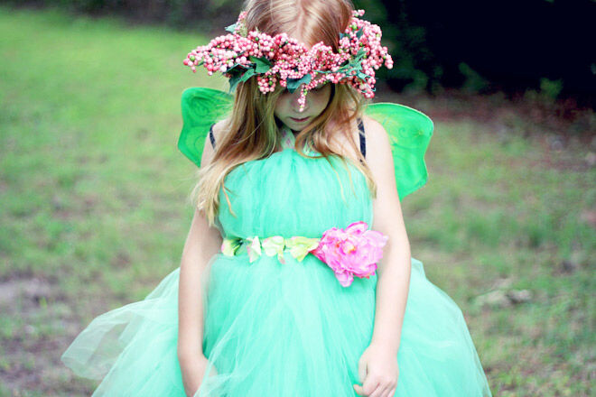 Fairy party costume