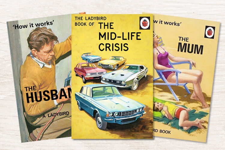 Ladybird Books for Adults