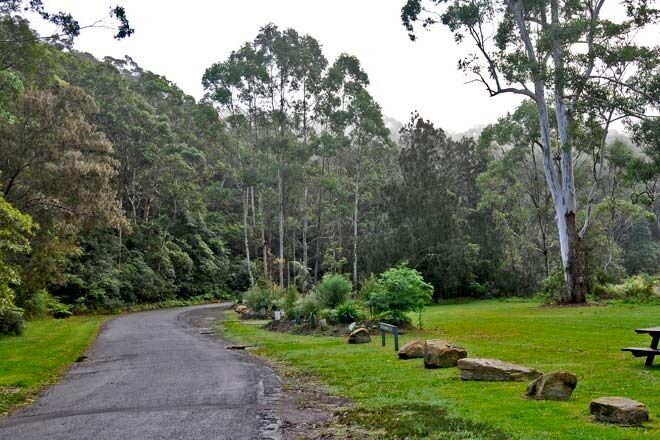 Lane-Cove-National-Park