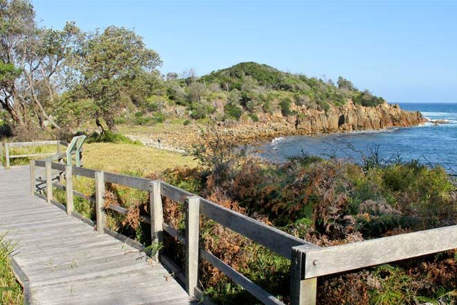 Mimosa-Rocks-Walking-Track