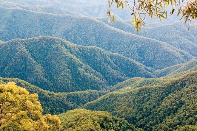 Point-Lookout-Walking-Trail