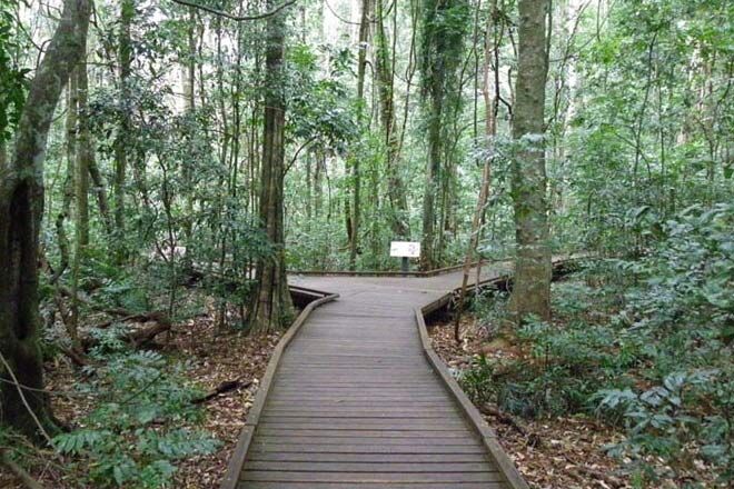 Victoria-Park-Boardwalk